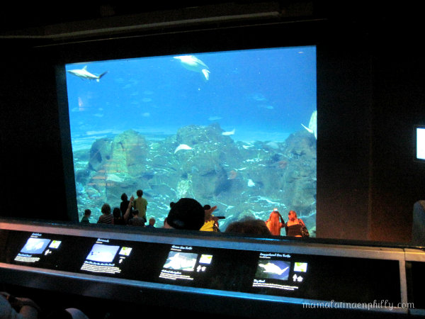 Camden Aquarium en New Jersey