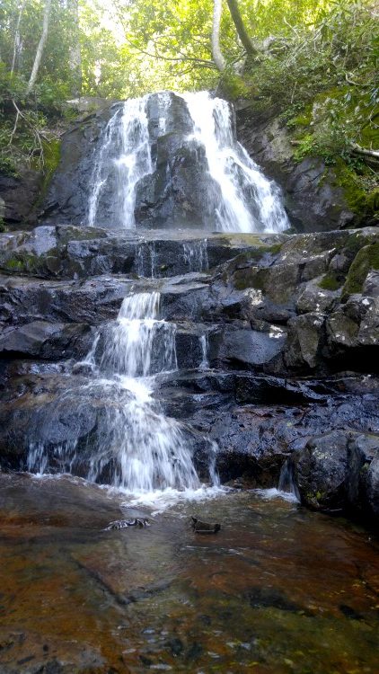 La catarata Laurel Falls en Smoky Mountains
