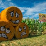 Atracciones de otoño Shady Brook Farm