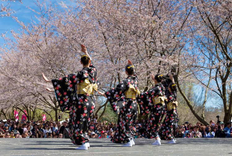 Una serie de eventos en el Subaru Cherry Blossom Philadelphia