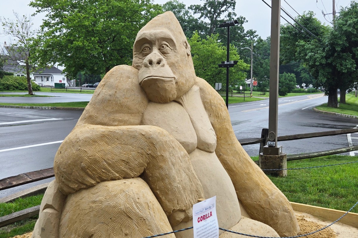 Gorilla hecho en arena safari in sand peddlers village