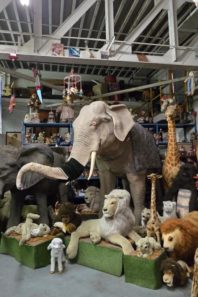 Animales salvajes en el museo