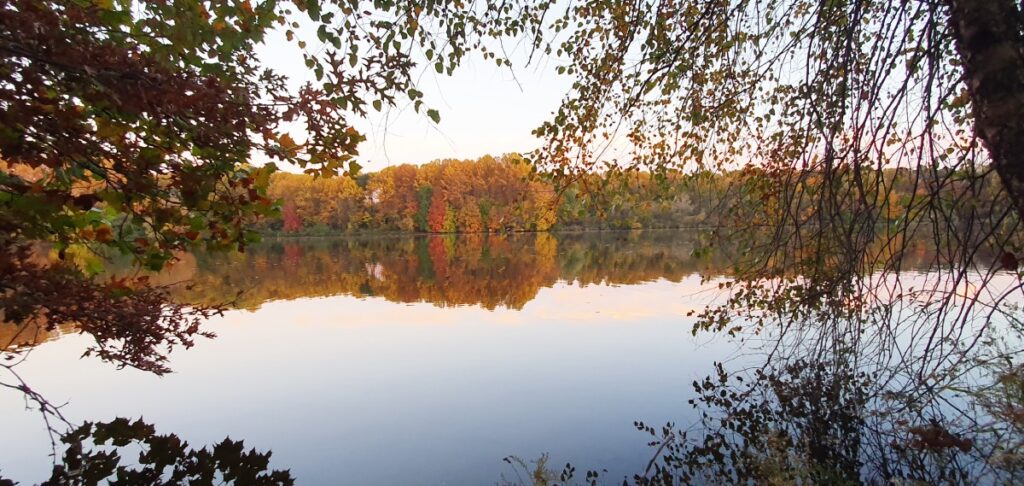Foliage de otoño en Pennsylvania