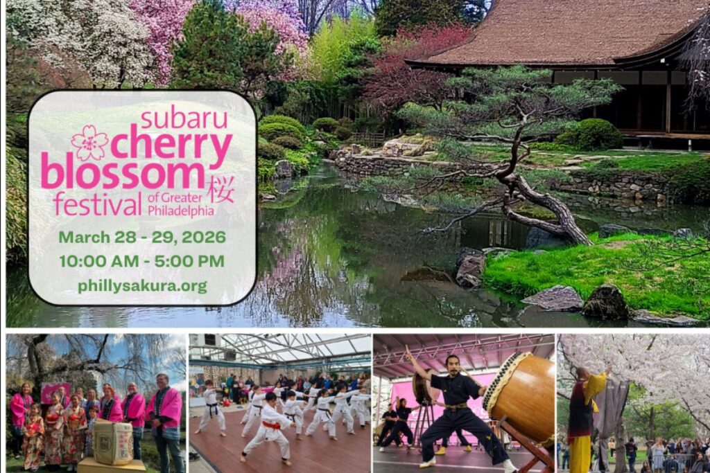 Collage del festival mostrando las diferentes actividades a realizarse.